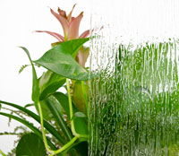 Rain Textured Glass Example Image